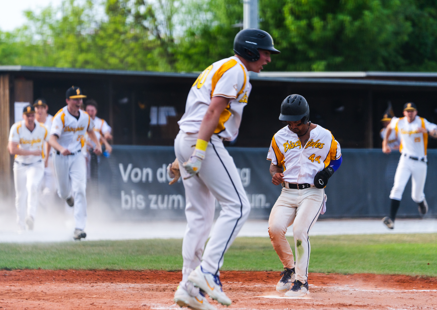 Cisco Riestra scored den winning Run gegen Regensburg.